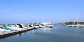 Marina-Livestream-View.png