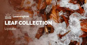 Leaf-Collection-5.jpg